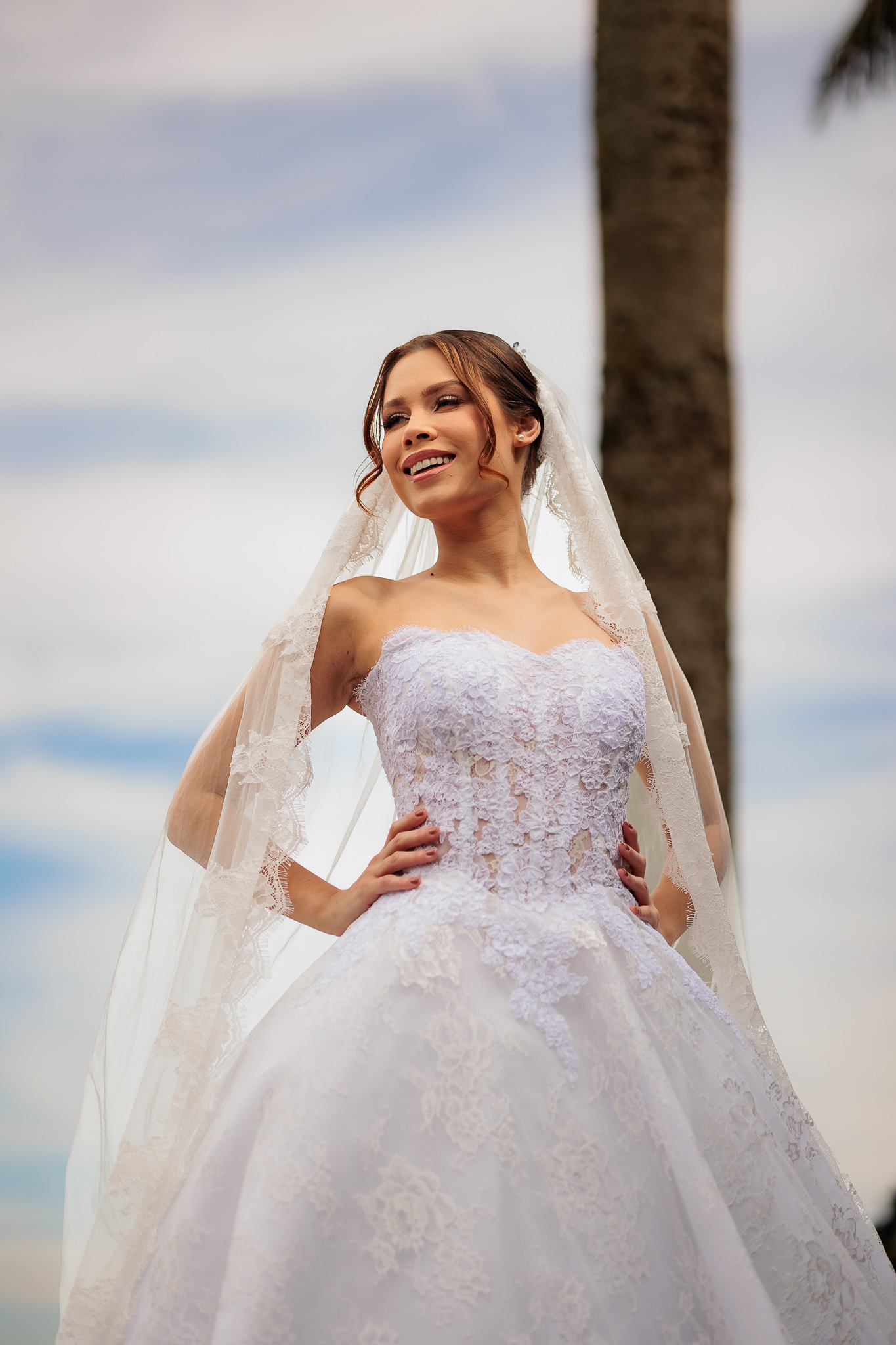 Editorial _Quinta da Cantareira_100