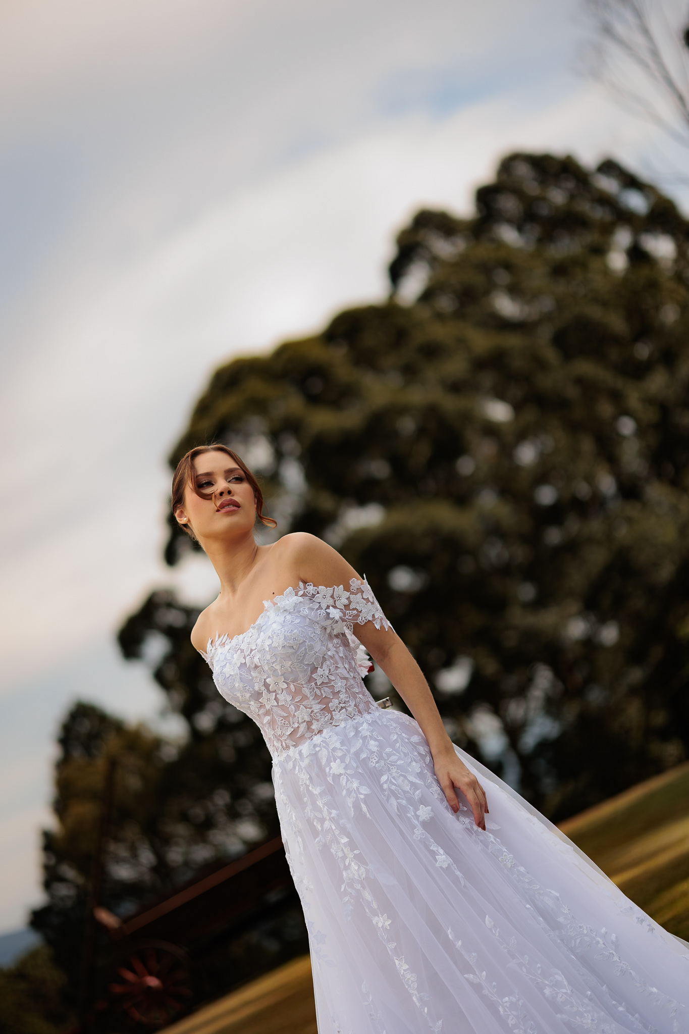 Editorial _Quinta da Cantareira_347